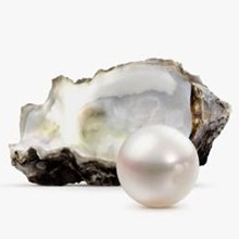 Pearl Pearl